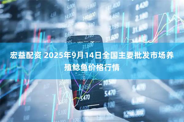 宏益配资 2025年9月14日全国主要批发市场养殖鲶鱼价格行情
