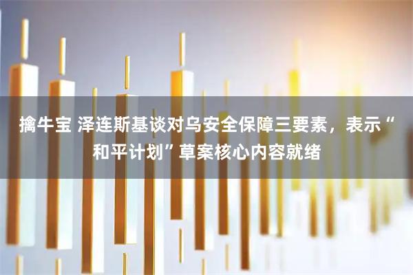 擒牛宝 泽连斯基谈对乌安全保障三要素，表示“和平计划”草案核心内容就绪