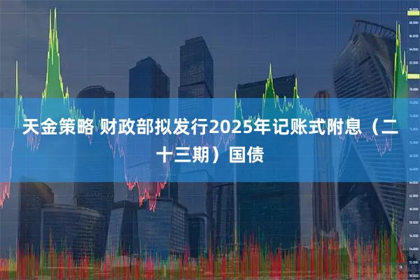 天金策略 财政部拟发行2025年记账式附息（二十三期）国债